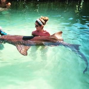 Meet your Posher, Cami